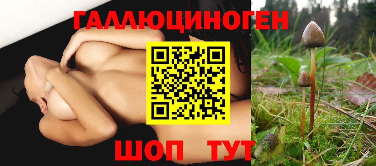 Псилоцибиновые грибы MAGIC MUSHROOMS  Галлюциногенные грибы прущие грибы  Вход с VPN  Ливны 
